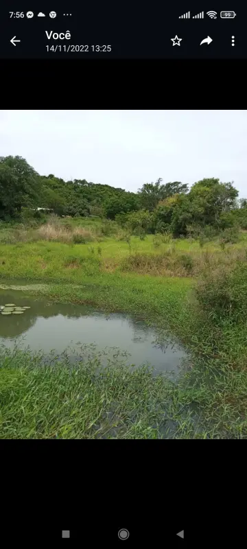 Chácara no Distrito de Maravilha, foto 2 de 5